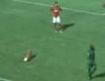 Video: Un câine poliţist a întrerupt un meci în Brazilia