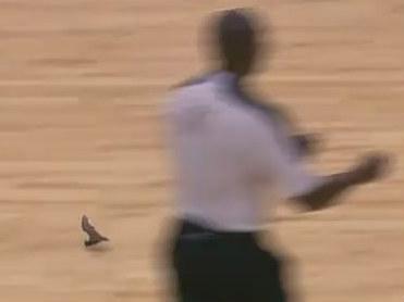 Video: Batman, Batman! Un liliac a întrerupt un meci din NBA!