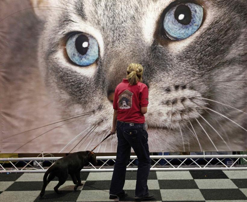 Săptămâna în imagini - Tragedia care a lovit o natiune 18425055