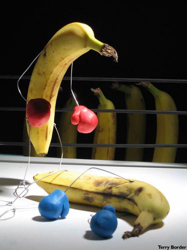 Viaţa secretă a obiectelor de zi cu zi, în viziunea unui artist plastic 18425000