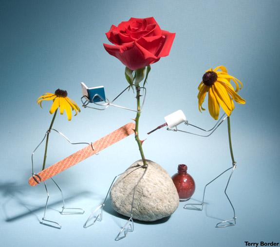Viaţa secretă a obiectelor de zi cu zi, în viziunea unui artist plastic 18425007