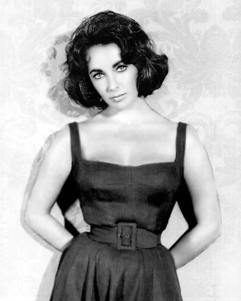Elizabeth Taylor: O viaţa  în lumina reflectoarelor 18425733