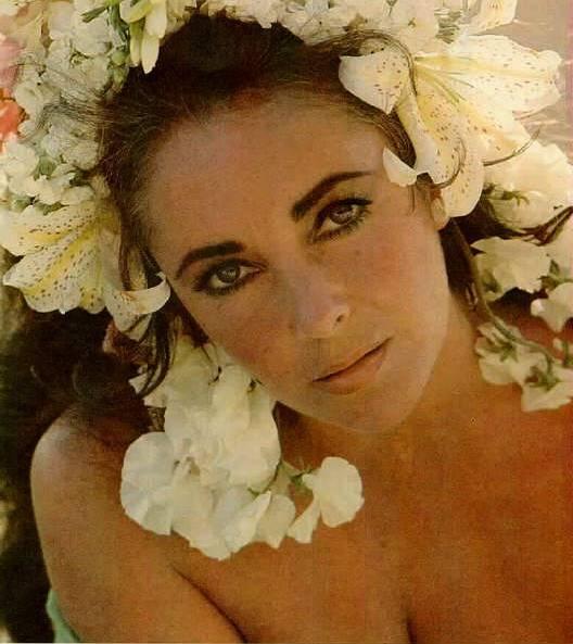 Elizabeth Taylor: O viaţa  în lumina reflectoarelor 18425735