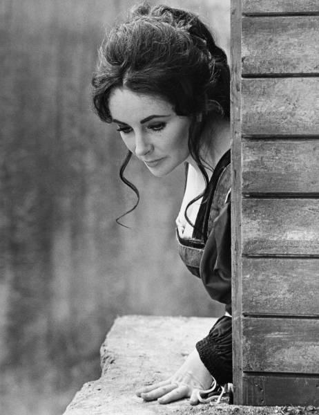 Elizabeth Taylor: O viaţa  în lumina reflectoarelor 18425737