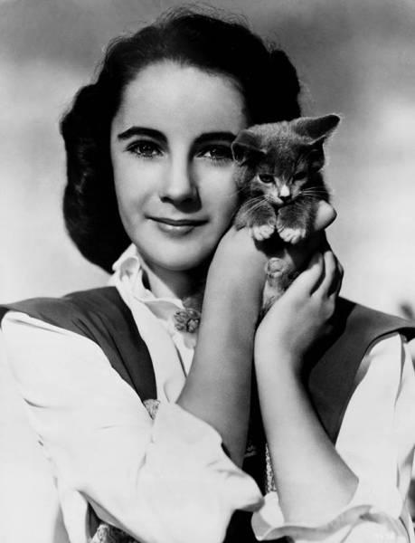 Elizabeth Taylor: O viaţa  în lumina reflectoarelor 18425751