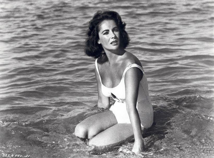 LIZ TAYLOR 18425689