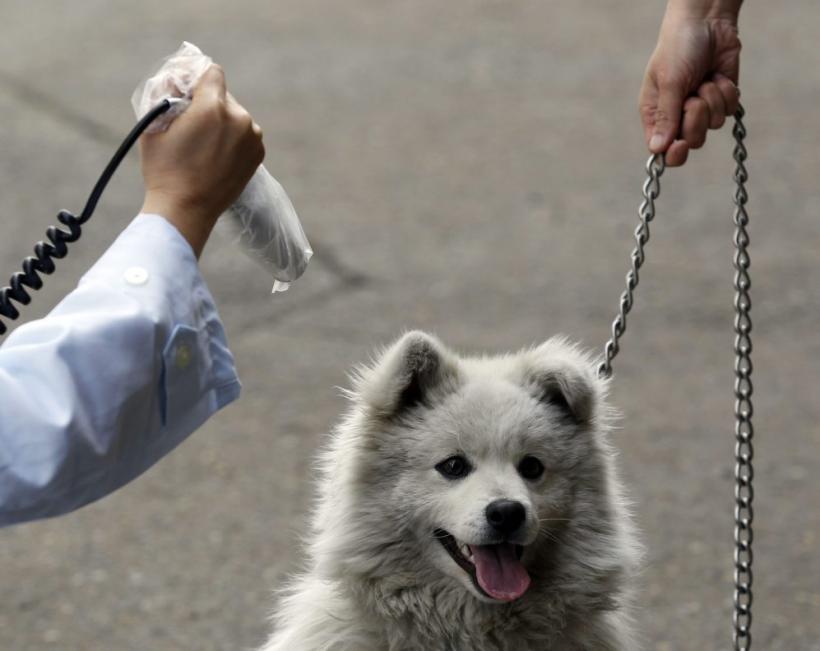 Saptamana in imagini 19-25 martie: Gaddafi contra restul lumii 18426058