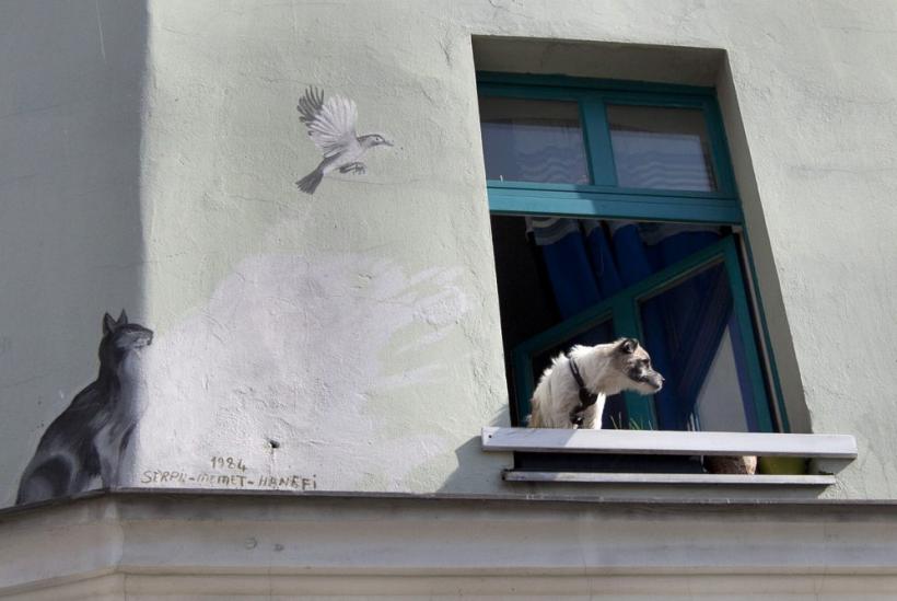 Saptamana in imagini 19-25 martie: Gaddafi contra restul lumii 18426094