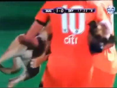 Video: Un câine lup a întrerupt un meci de fotbal feminin