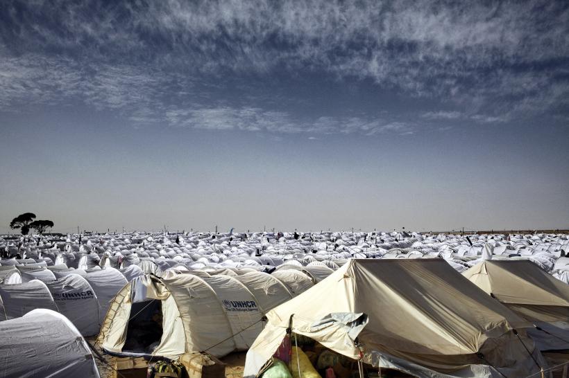 Bombele salvatoare 18426147