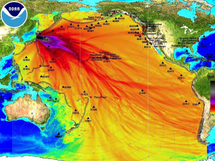Alertă de tsunami în Japonia, după un cutremur cu magnitudinea de 6,5