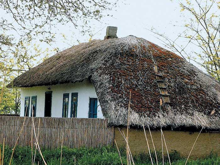 Casele vii din Delta Dunării
