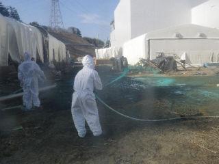 Disperare la Fukushima: Crăpăturile sunt astupate cu rumeguş şi ziare