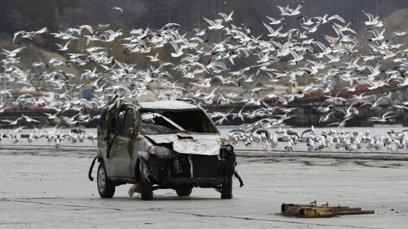 Saptamana 2-8 aprilie in imagini - Sa fie pace in Afganistan 18427788