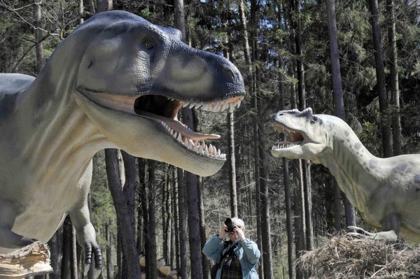 Saptamana 2-8 aprilie in imagini - Sa fie pace in Afganistan 18427807