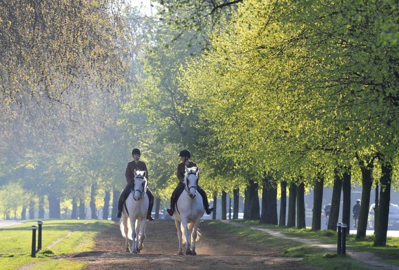 Saptamana 2-8 aprilie in imagini - Sa fie pace in Afganistan 18427810