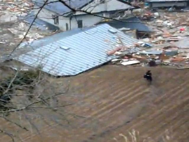Noi imagini terifiante surprinse în timpul devastatorului tsunami din 11 martie - video