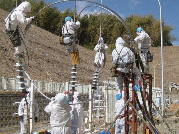 Oncologii japonezi vor să stocheze celule stem de la angajaţii centralei Fukushima