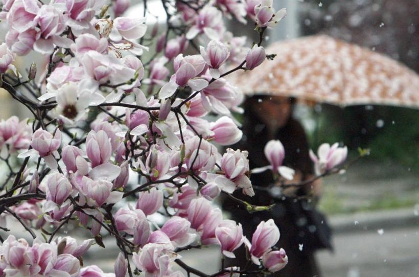 Saptamana 9-15 aprilie in imagini - 50 de ani de la primul zbor in spatiu 18428513