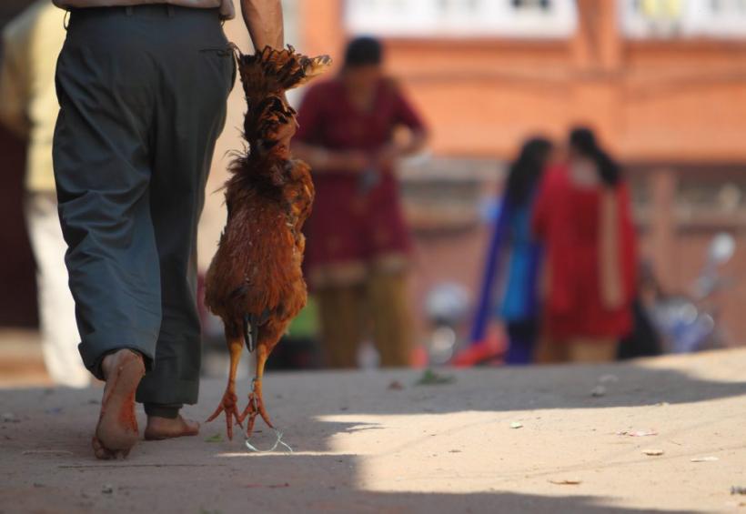 Saptamana 9-15 aprilie in imagini - 50 de ani de la primul zbor in spatiu 18428524