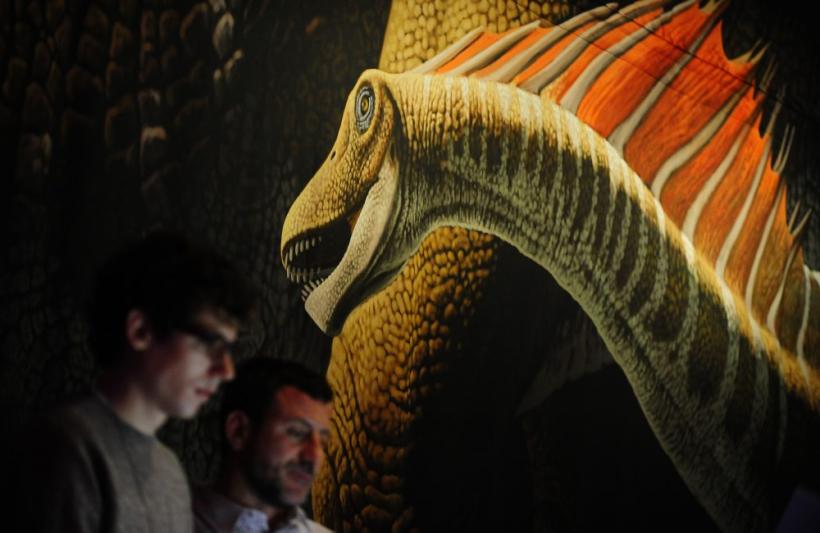 Saptamana 9-15 aprilie in imagini - 50 de ani de la primul zbor in spatiu 18428528