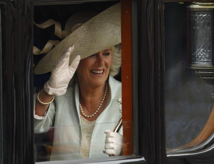 Capete încoronate şi pălării încornorate 18429803