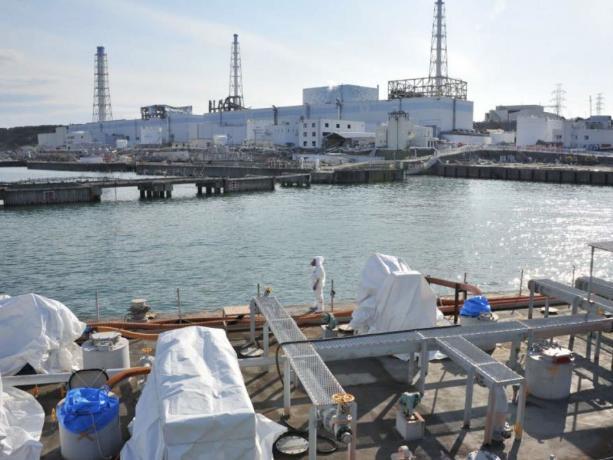 Nivel crescut al substanţelor radioactive în largul mării, la Fukushima