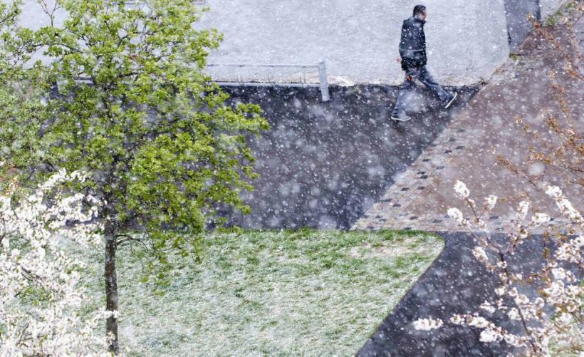 Săptămâna în imagini 30 aprilie - 6 mai: Divinitate şi justiţie divină 18430654