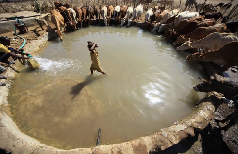 Săptămâna în imagini 30 aprilie - 6 mai: Divinitate şi justiţie divină 18430665