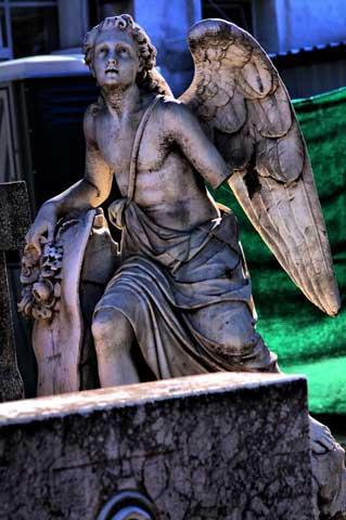 Cimitirul Bellu 18431083