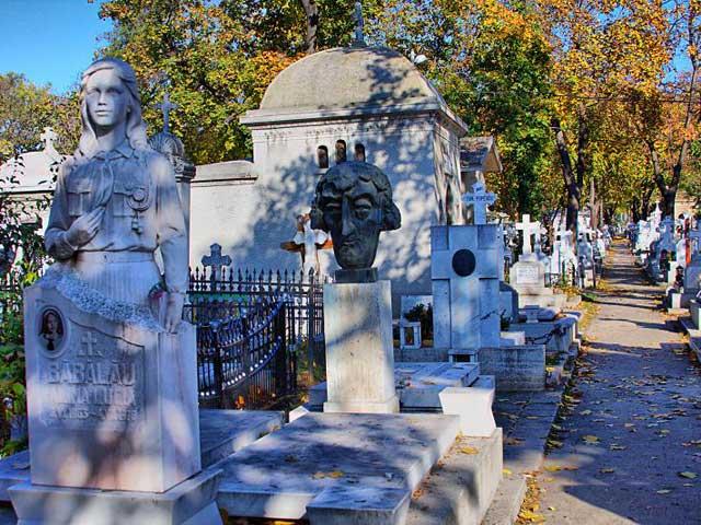 Cimitirul Bellu 18431084