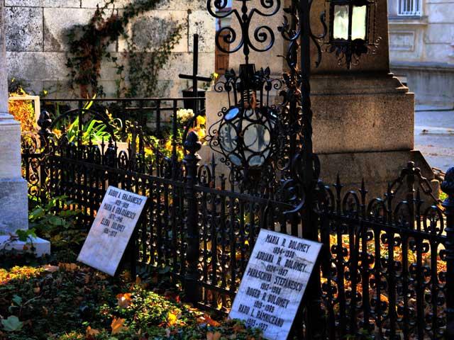 Cimitirul Bellu 18431085