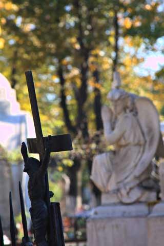 Cimitirul Bellu 18431087