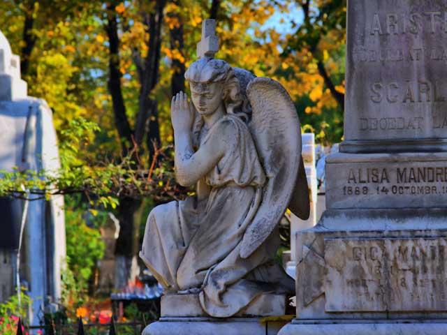 Cimitirul Bellu 18431089