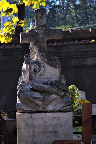 Cimitirul Bellu 18431091