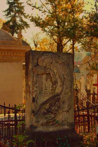 Cimitirul Bellu 18431093