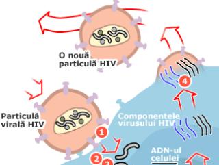 Un nou tratament reduce drastic riscul transmiterii virusului HIV-SIDA