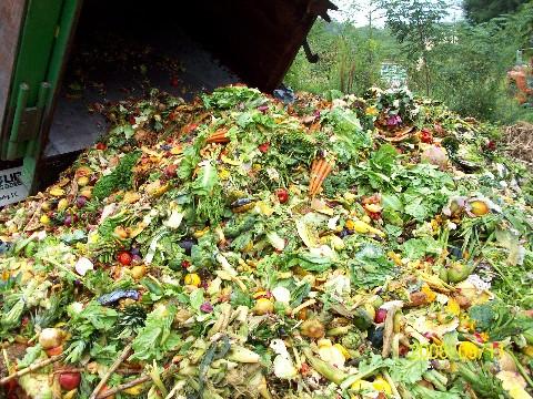 O treime din producţia mondială de alimente ajunge la gunoi