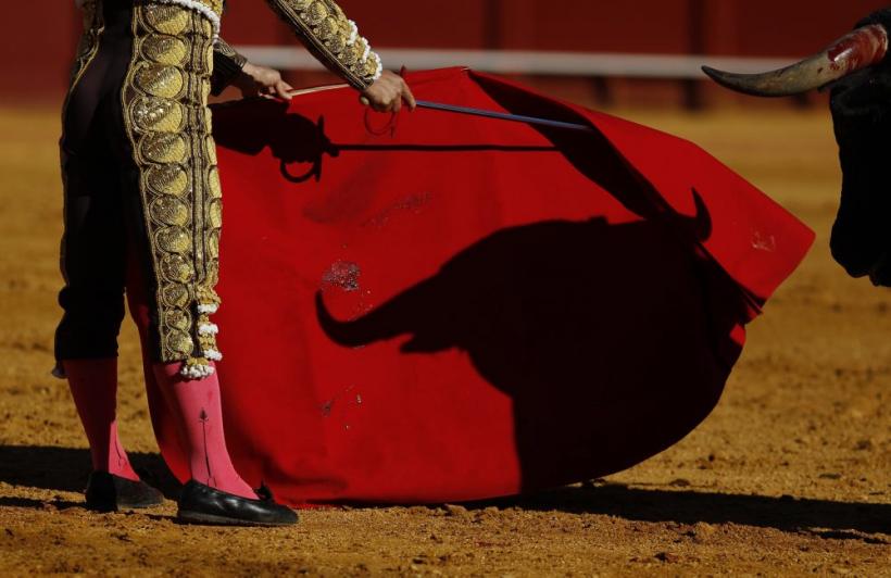 Săptămâna în imagini 7-13 mai: Festivalul de la Cannes şi-a deschis porţile 18431507