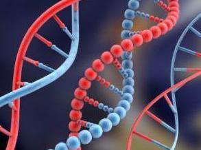 Gene extraterestre în ADN-ul uman?.