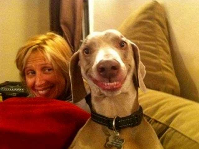 Cel mai zâmbitor câine din lume.