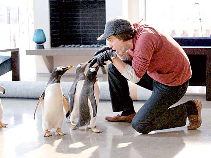 Pinguinii lui Jim Carrey