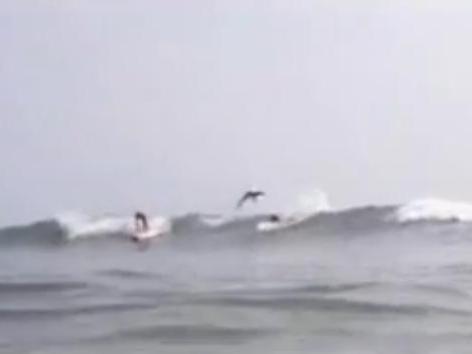 Video incredibil: Momentul în care un rechin sare peste un surfer!