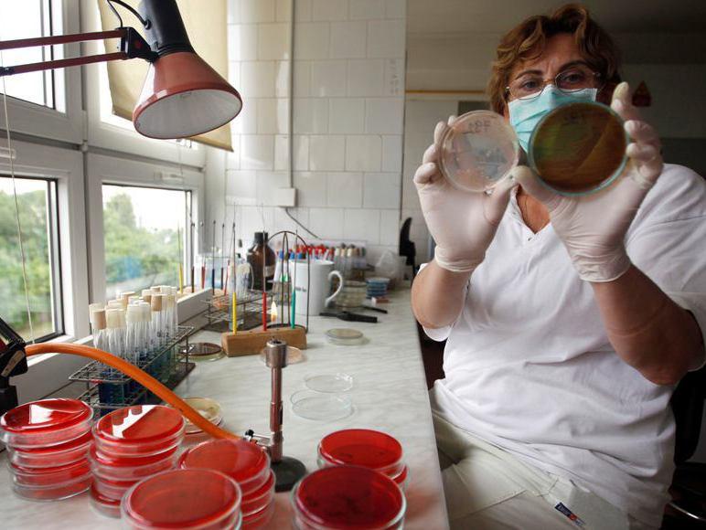 Bilanţul epidemiei de E.coli a ajuns la 47 de morţi