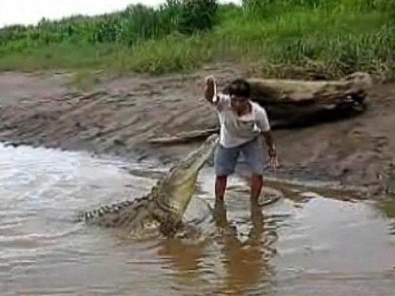 Un costarican hrăneşte crocodilii din mână, ca pe căţei. Vezi video!