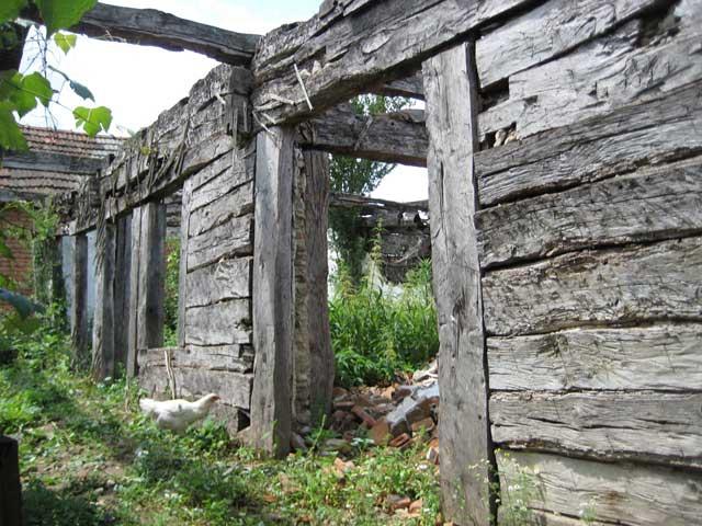 Casa în care s-a născut Brâncuşi, adăpost pentru orătăniile stră-strănepoatei sale 401993