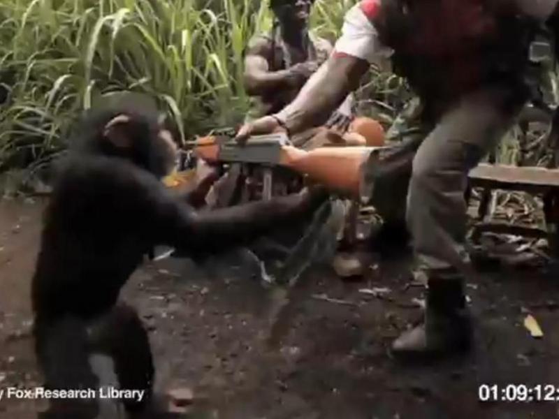 O maimuţă înarmată pune pe fugă un grup de soldaţi africani (Video)
