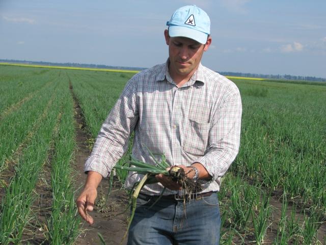 Povestea olandezului căruia îi râd ochii de la ceapa românească 486515