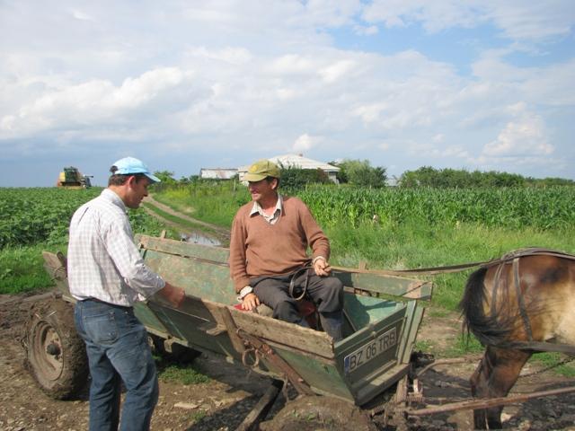 Povestea olandezului căruia îi râd ochii de la ceapa românească 486516