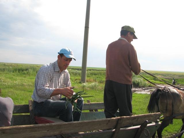 Povestea olandezului căruia îi râd ochii de la ceapa românească 486517